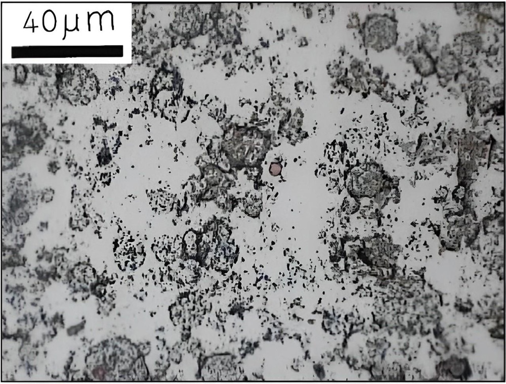 718 Micrograph after etching