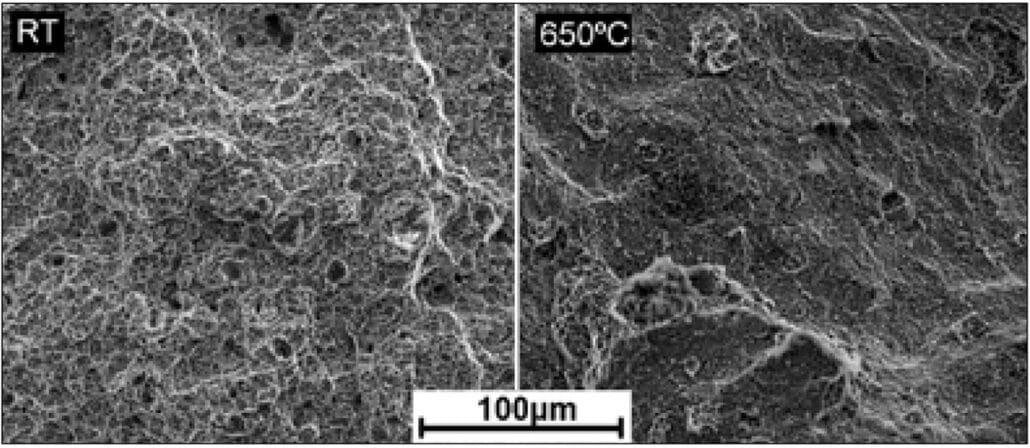 Ductile Fracture Surface of SEM image IN718