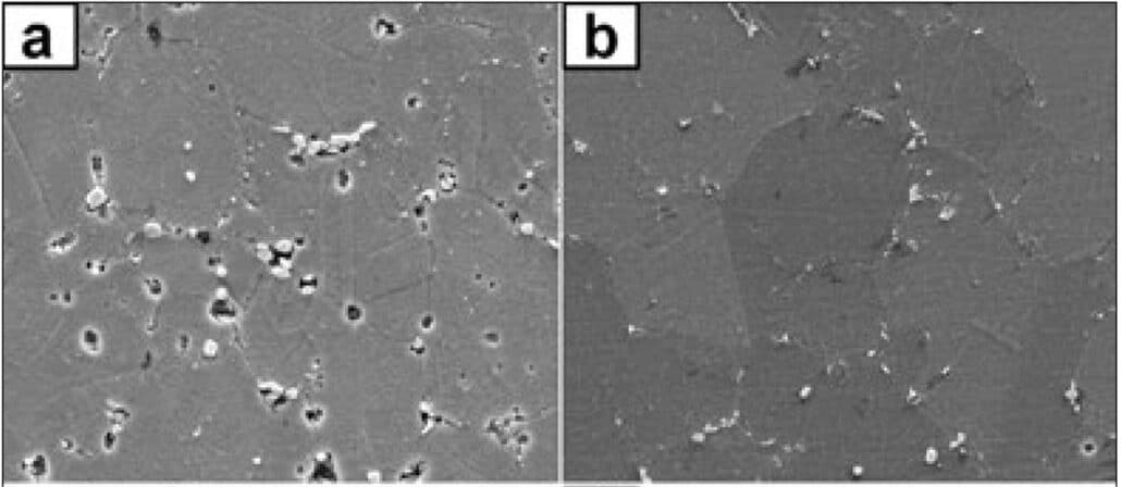 SEM image sintered & HIPed IN718