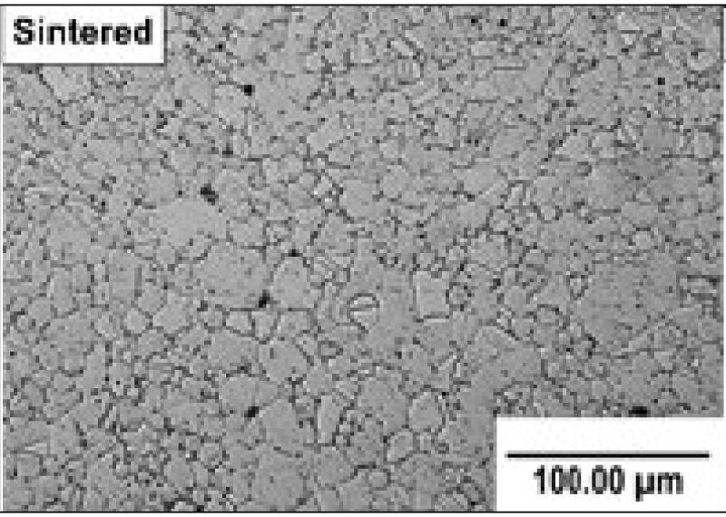 Surface micrograph of sintered 718