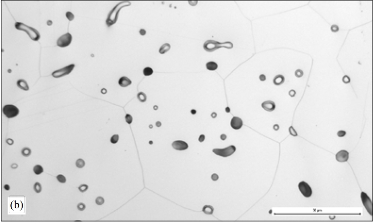 316 sintering in cracked ammonia